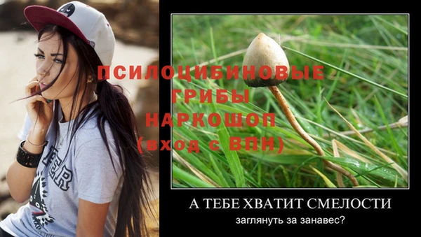 mdma Няндома