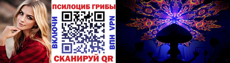 где купить   Фурманов  Псилоцибиновые грибы Psilocybine cubensis 